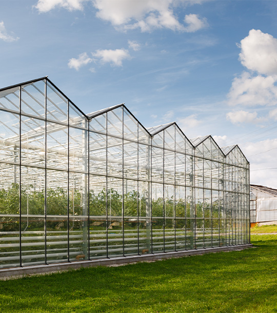 Glastuinbouw
